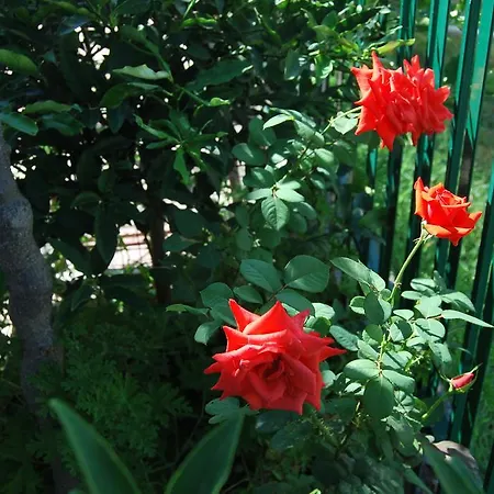 Гостевой дом H And H Велипойе