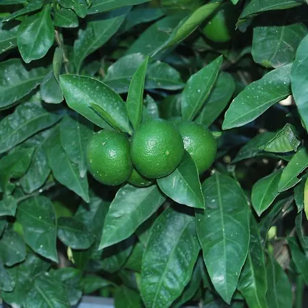 게스트하우스 H And H 3*