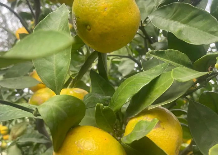 H And H Guest house 3*