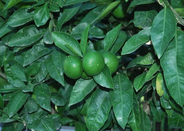 Guest house H And H 3*